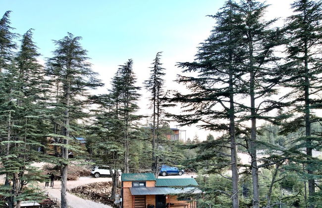 Cedrus Life Bungalow Tesisleri - Foto 1