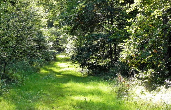 Nice Apartment in Gohrde - Foto 6