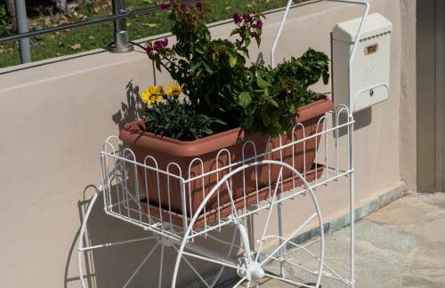 Studio Nikos - Foto 10