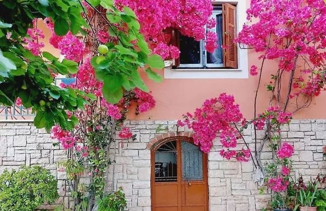 Alexandros 1 by Frangki - Foto 18