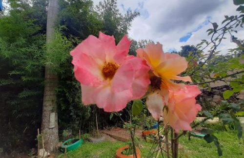 Casa da Tuca - Foto 21