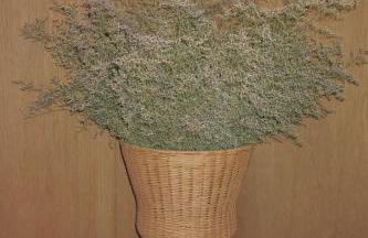 Vandoma Serviced Apartments - Foto 78