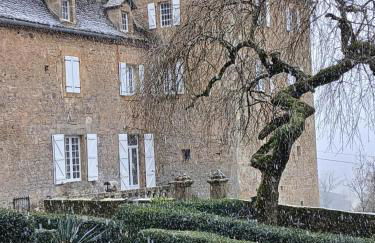 Manoir du Boscau, Louis IX - Foto 32