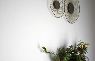 Casa da Carrasqueira - Foto 17