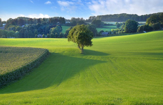 Holiday Home Slenaken With Valley Views - Foto 33