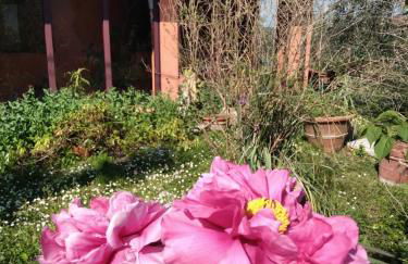 la casa di Rosa - Foto 47