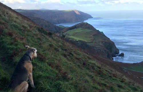 The Old Smithy - Foto 37