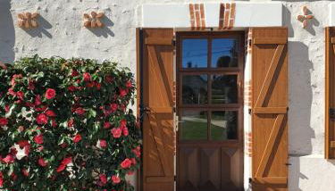 Les camélias - Photo 2