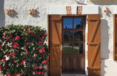 Les camélias - Foto 2