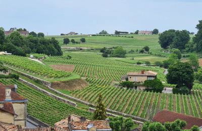Maison en pierre avec jardin et vue vigne - St-Émilion - Foto 31