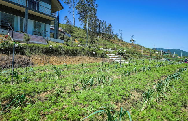 Clouds 1939 By Wimsons - Photo 36