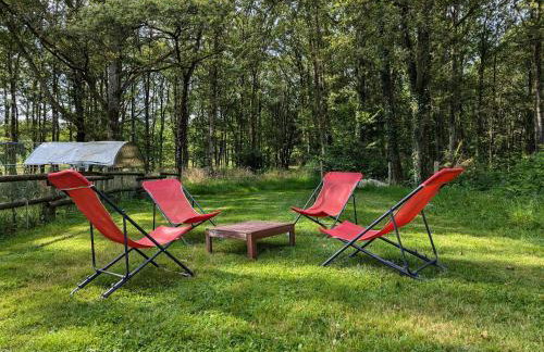 Gîte cosy en Sologne, nature et pêche, tout inclus - FR-1-590-549 - Foto 20