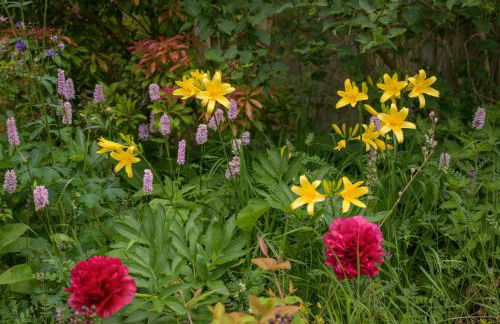 Haven Retreat Scotland - Large 4 Bed House with Woodland garden, Aboyne ,Royal Deeside - Photo 32