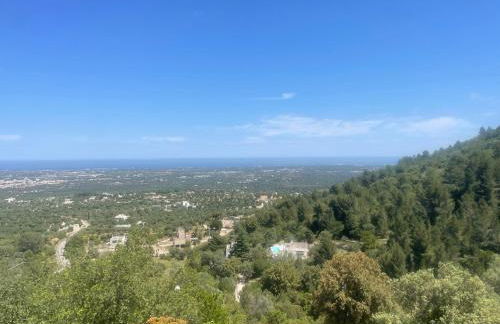 Villa Romina - Foto 9