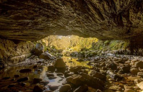 Waterfall Lodge - Foto 55