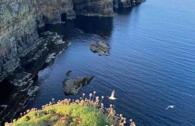 Peedie Cott Self-Catering, Orkney - Photo 16