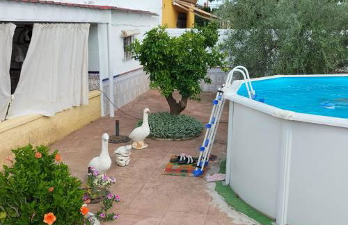 Casa rural la casa del Conde - Foto 21