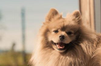 Stodoła Majołka- kameralny dom z balią w Izerach - Foto 54