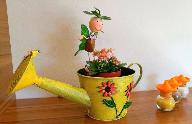 Apartments Kola - Foto 39