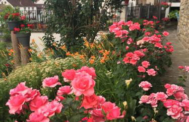 IKUILU Ochagavia-Selva de Irati - Foto 30