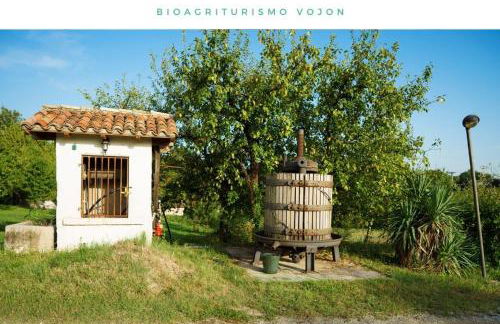 Bio Agriturismo Vojon - Foto 42