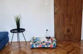 Apartment with e-cars station - Foto 6