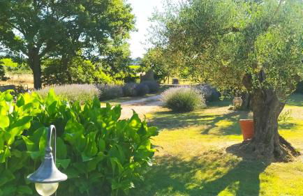 Agriturismo La Dependance - Foto 34