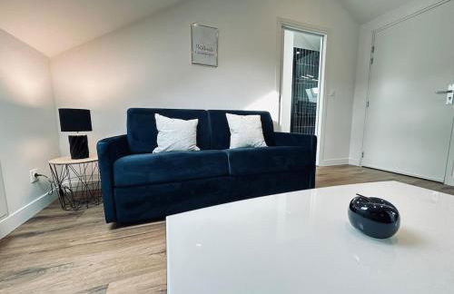 3 Vasnier confortable proche caves de champagne - Foto 21