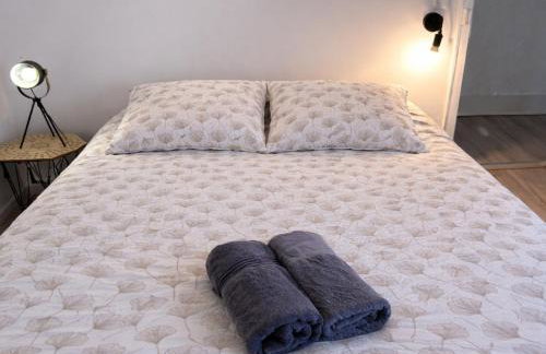 La Terrasse Victor Hugo - Hypercentre, Idéal Groupe - Foto 27