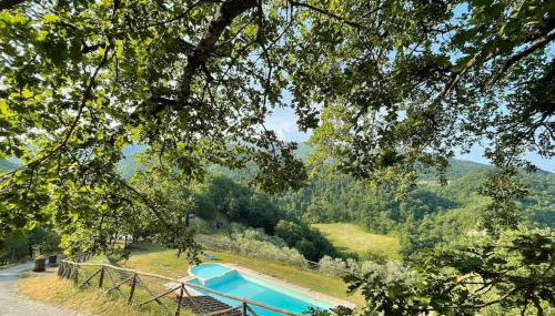 Il Colle - Apartment Pino - Foto 3