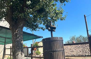 Takápradalù - Foto 7