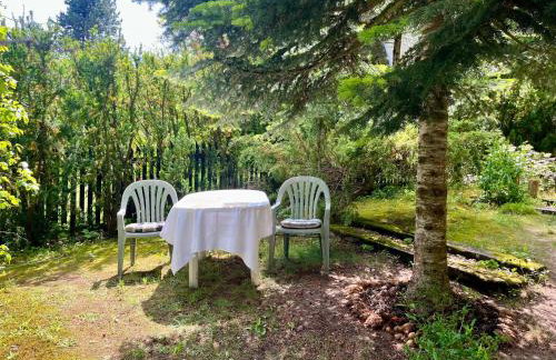 House in the forest in Podlasie - Foto 20