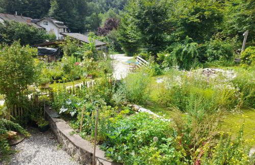 Im Naturgarten - Foto 24