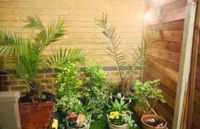 A beautiful stylish 2 Bedroom Apartment -City of London - Foto 32