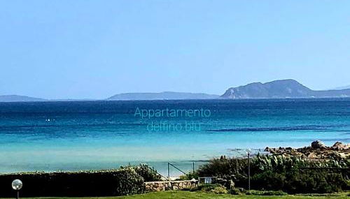 Appartamenti delfini terza spiaggia - Foto 2