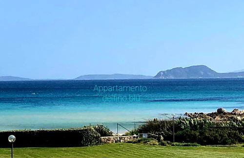 Appartamenti delfini terza spiaggia - Foto 2