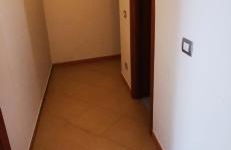 Stella Murgiana - Foto 16