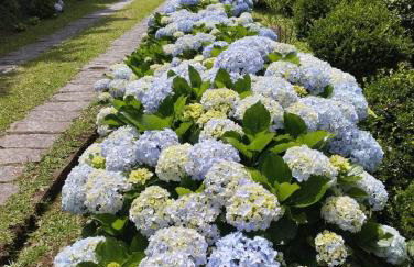 Linda casa em Mury,com riacho e lareira - Foto 45