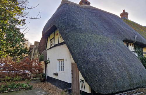 Delightful 3bed thatched Cottage - Foto 25