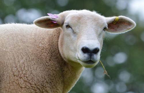 The Granary, Wonderful Riverside Accommodation - Photo 16