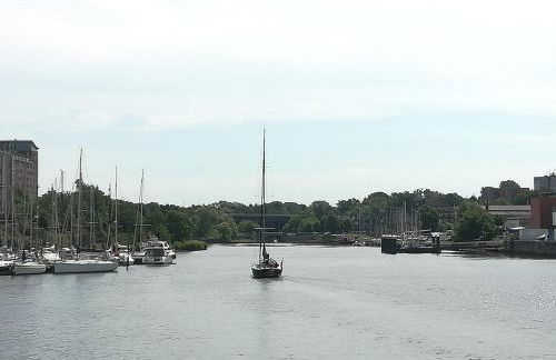 Ostuferperle - Foto 20