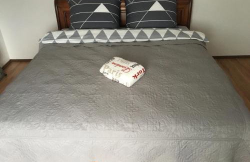 Wiola Verde - Foto 30