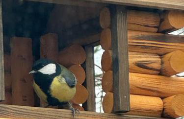 Storm Cottage in the Countryside - Foto 41