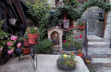 Le Grenier de Olga e Mario - Foto 27