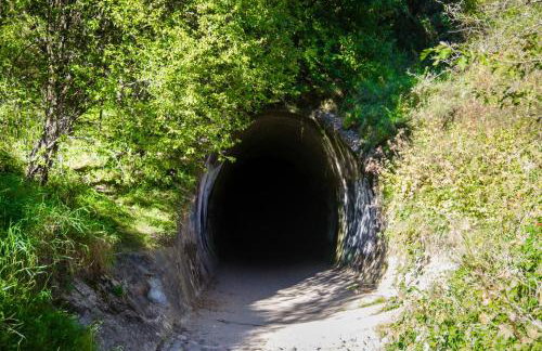 Domki Pozytywki - Foto 52