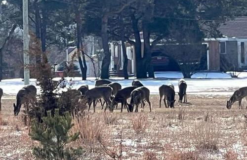 Fancy Homes Manistee B with Lake View! - Foto 59