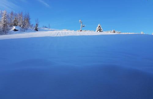 ski au pied, 3ch 2Sdb Garage Terrasse - Foto 11