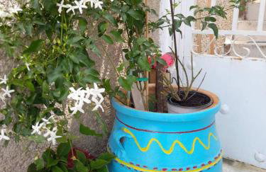 Aggelikis traditional house - Foto 15