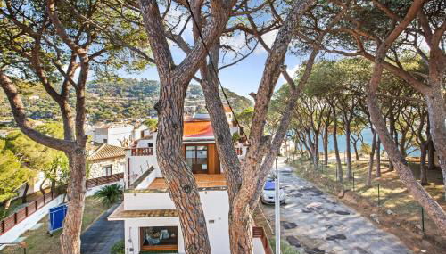 Anc 12 - Llafranc - Foto 4