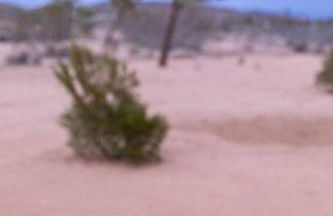 Hemingway House - Pool-Hot Tub-Hammocks and Fire pit - Foto 15